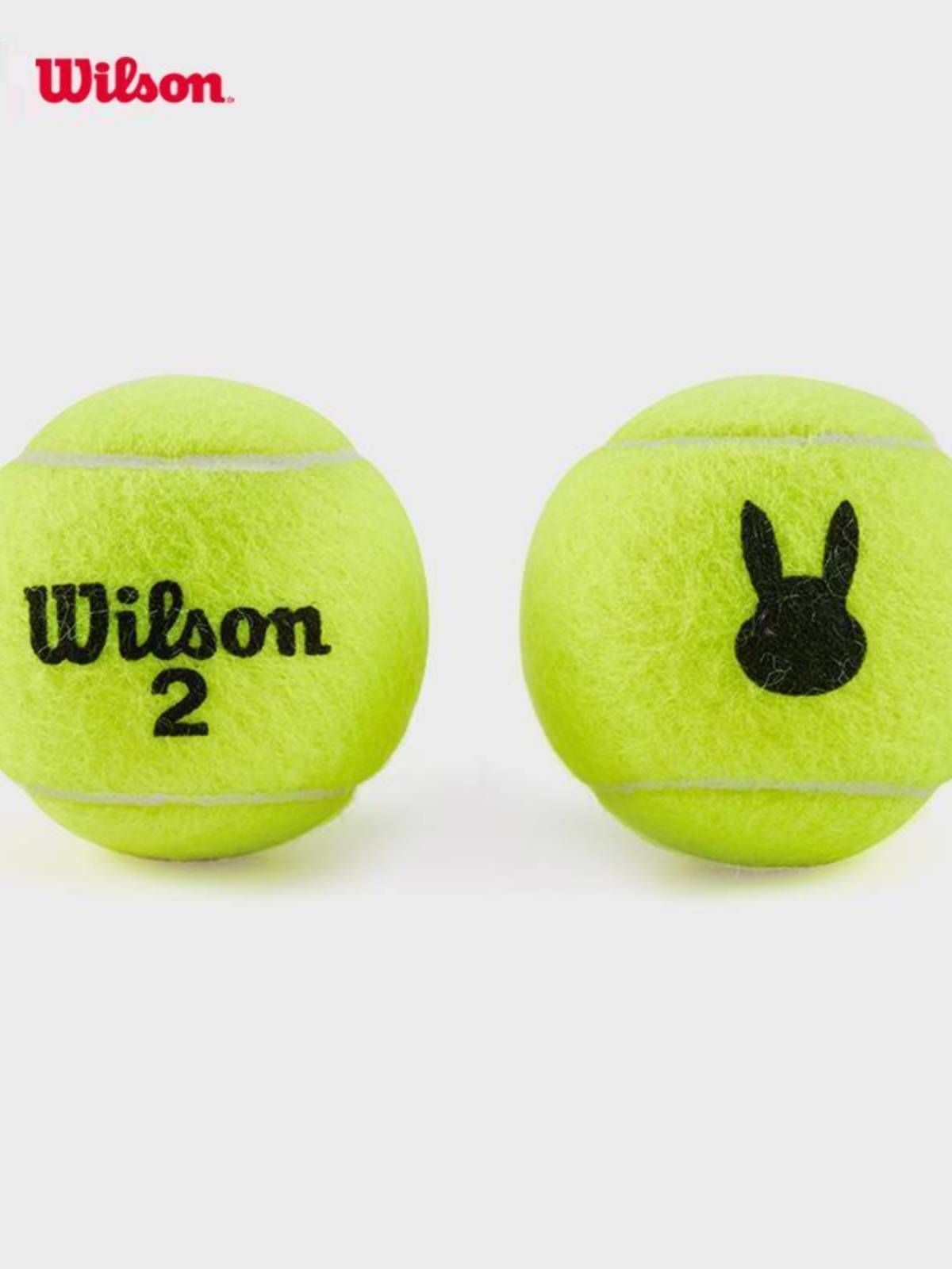 Wilson Wilson 2023 Rabbit Year Limited Tennis Two Make Collection Commemorative Competition Training Tennis Plastic Har