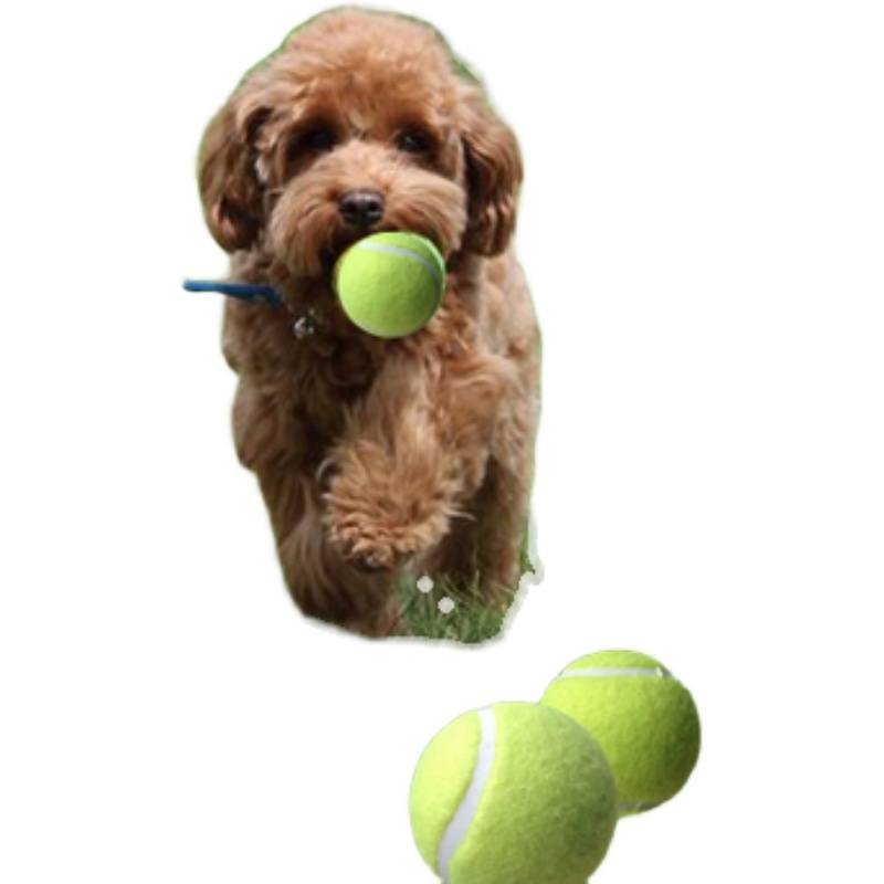 20  tennis decoration, pet toy, tennis cat and dog training with ball wear resistance, biting and biting tennis