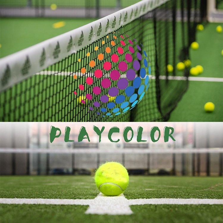 Factory Wholesale Custom Panoramic Paddle Tennis With Glass Carpet Padel Courts
