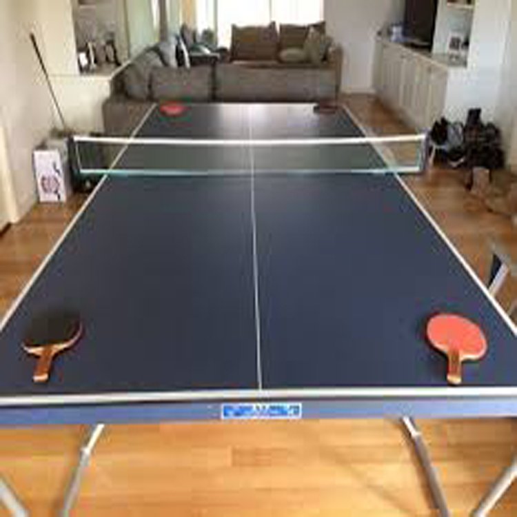 Factory sales Table tennis table good price cheap price