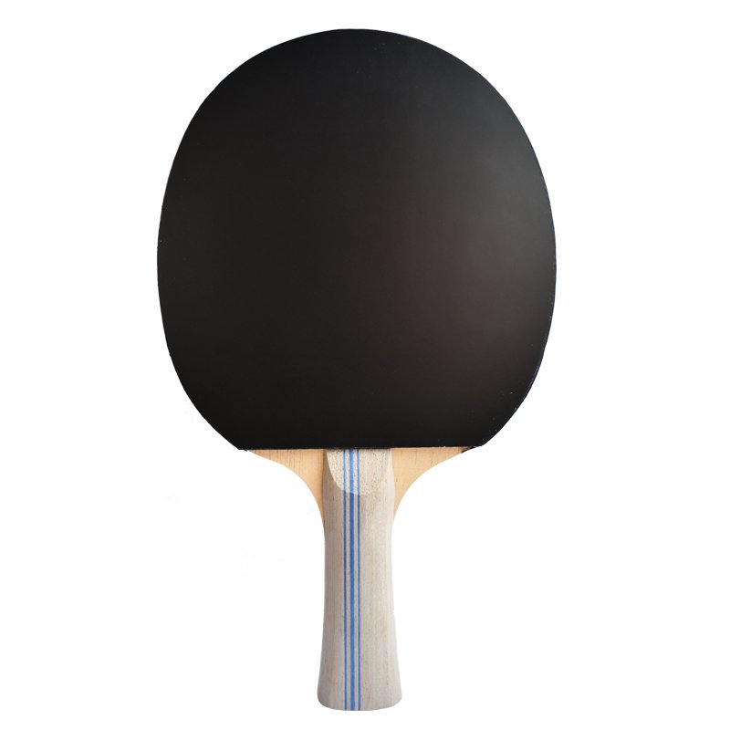 Professional Paddle Custom Logo Table Tennis Bat Blade Pingpong Racket Set