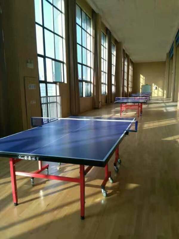 model single-folded table tennis table for sales pingpang table