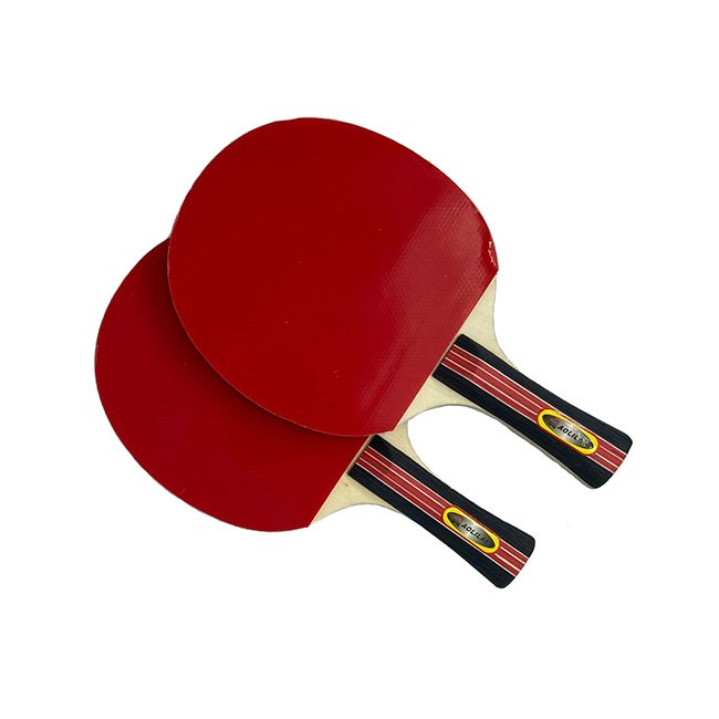 New Design Top Quality Professional Table Tennis Racket Best Table Tennis Racket