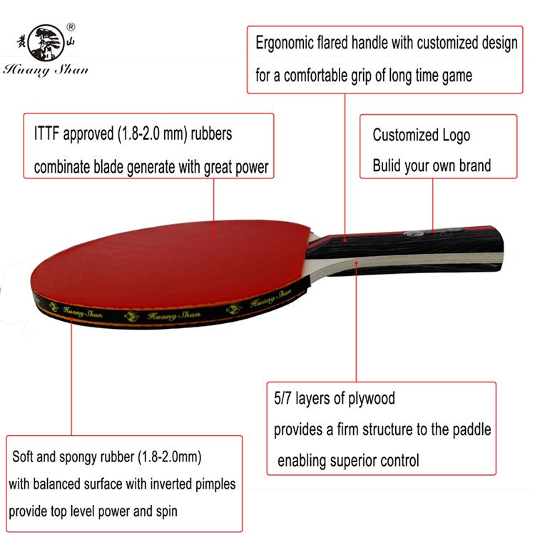 OEM Table tennis Set 2 Bats 6 Balls With Retractable Net Cheap Pingpong Paddle table tennis Racket