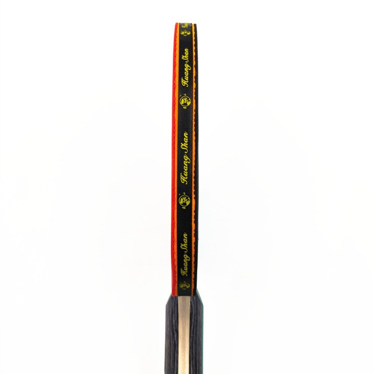 OEM Table tennis Set 2 Bats 6 Balls With Retractable Net Cheap Pingpong Paddle table tennis Racket