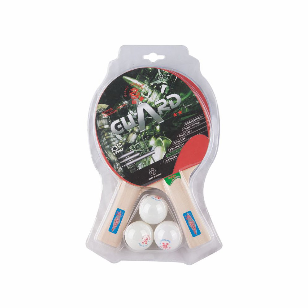 Factory Supply Table Tennis Racket Portable Table Tennis Set With 2 Bats And 3 Balls