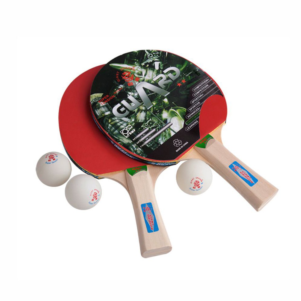Factory Supply Table Tennis Racket Portable Table Tennis Set With 2 Bats And 3 Balls