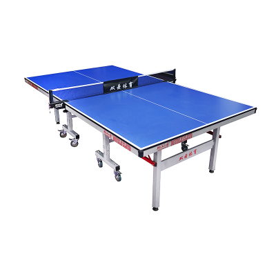Hot Sale Professional 18mm Indoor Folding Table Tennis table
