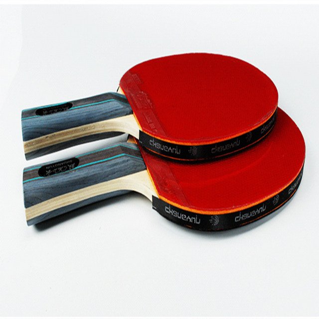 Professional Table Tennis Tables best table tennis racket