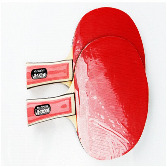Professional Table Tennis Tables best table tennis racket