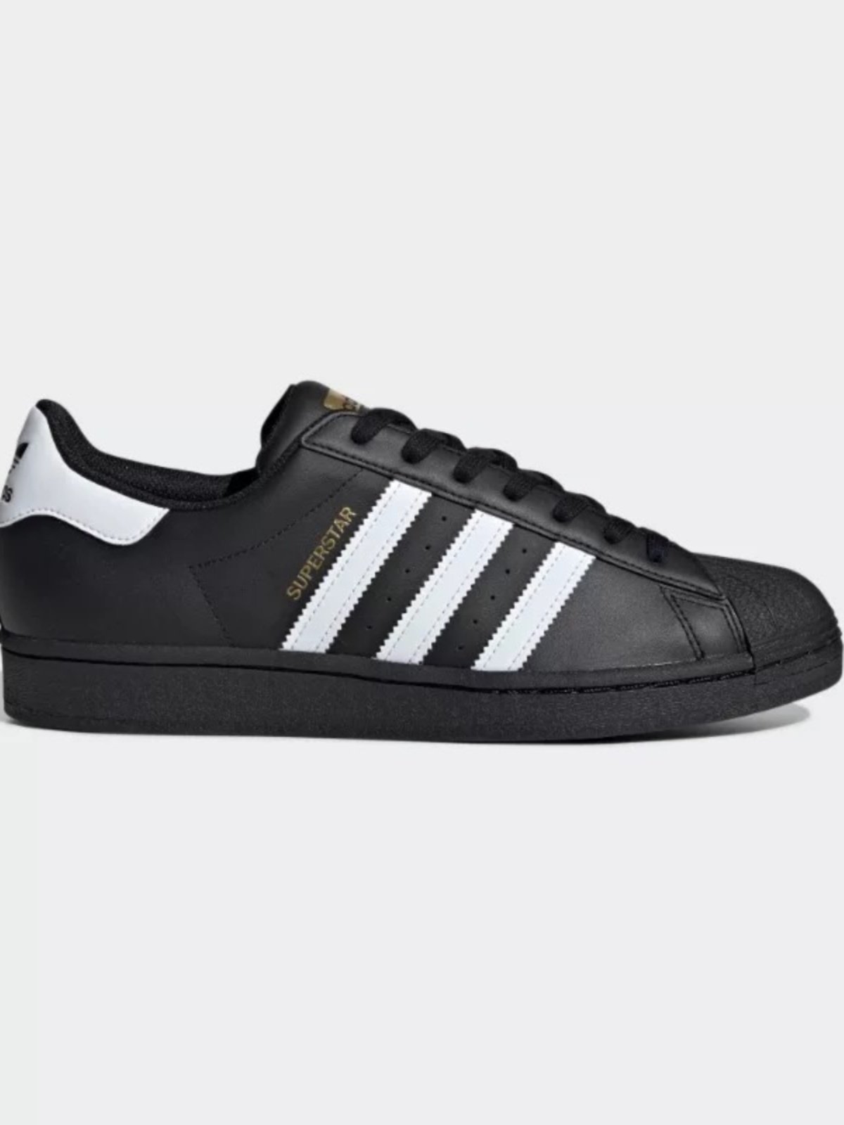 SUPERSTAR GALI CO-FRIEND OF RECREATIONAL SHELLS, EG 4959
