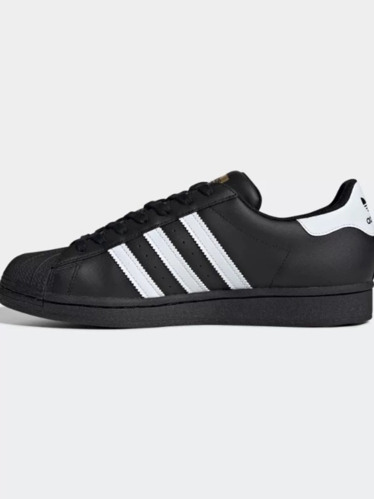 SUPERSTAR GALI CO-FRIEND OF RECREATIONAL SHELLS, EG 4959