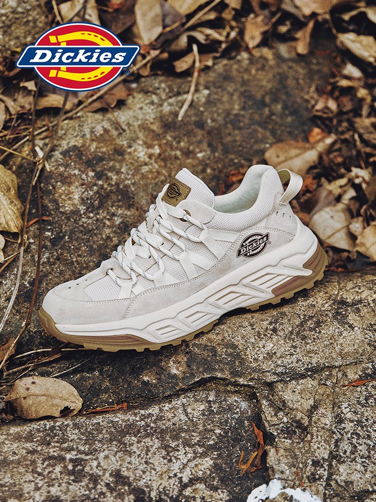 Dickies Men's Shoes In Summer 2024 New Spring and Fall Shoes Men's Recreational Sports Shoes