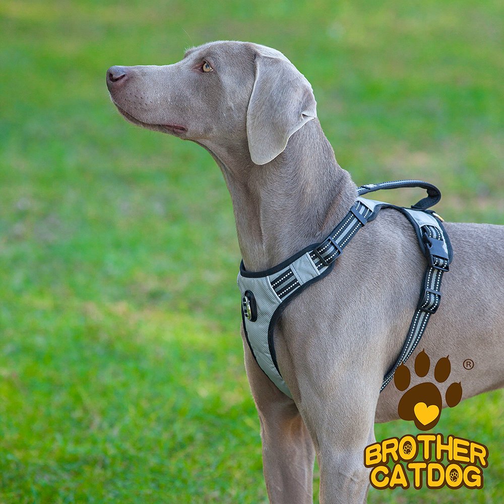 dog harness puppy Reflective Vest Harness with 2 Leash Attachments and Easy Control