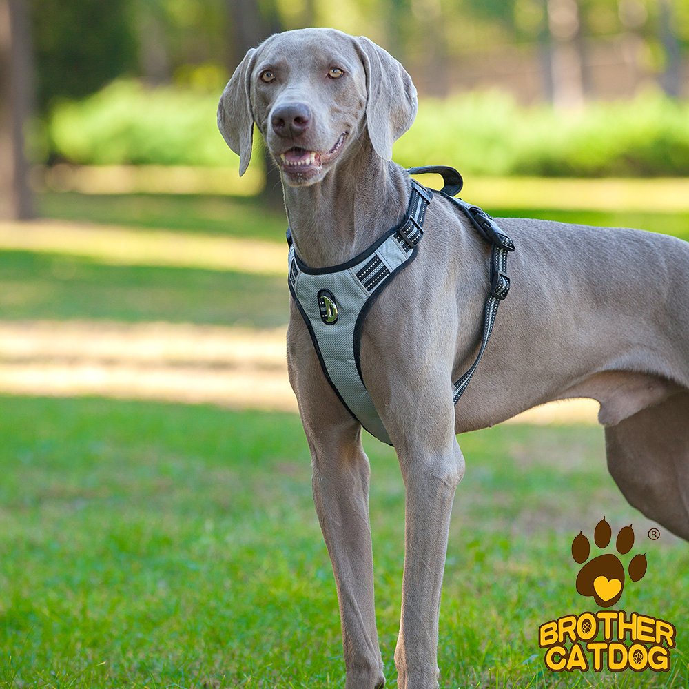dog harness puppy Reflective Vest Harness with 2 Leash Attachments and Easy Control