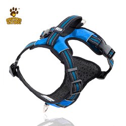 XL:Chest 32-42in /Neck 18-31in