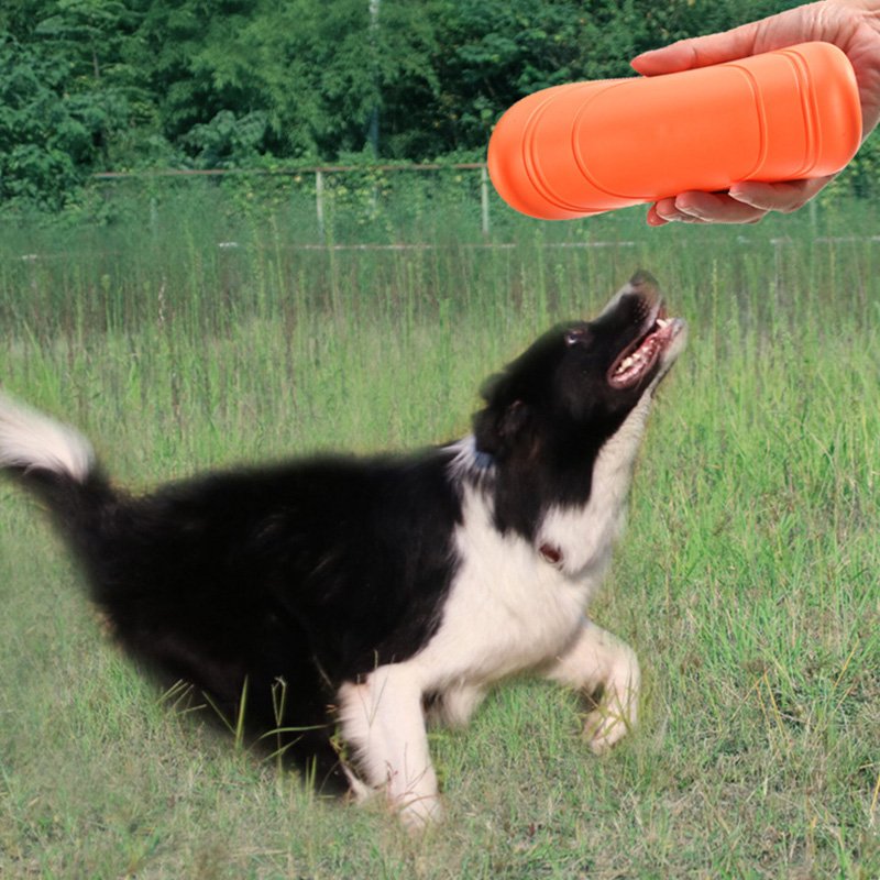 Pet Toy Dog Training Non-toxic Natural Soft TPR Dog Frisbeed Toy Floats Water Interactive Flying Discs Toys for Dogs