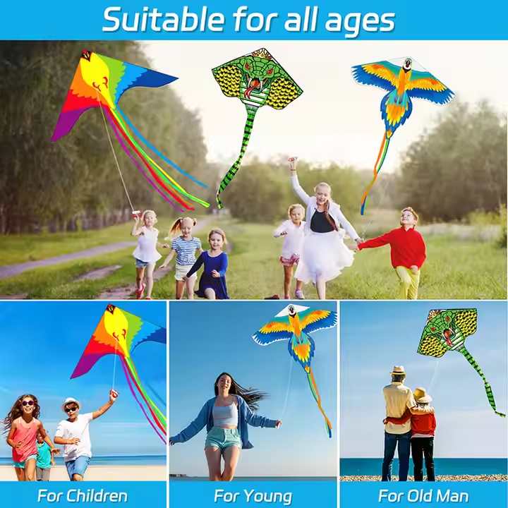 Best Selling Kites Flying Outdoor Toys Kite for Children's Sports Fabric Parafoil Kites on Sale