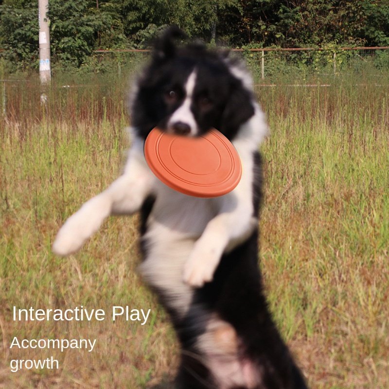 OEM Eco-Friendly TPR Dog Frisbee Bite Resistant Floating Soft Interactive Pet Toy for Movement & Exercise