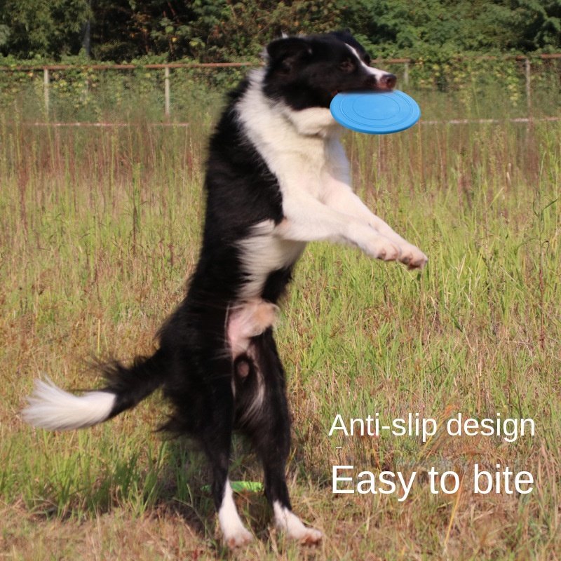 OEM Eco-Friendly TPR Dog Frisbee Bite Resistant Floating Soft Interactive Pet Toy for Movement & Exercise