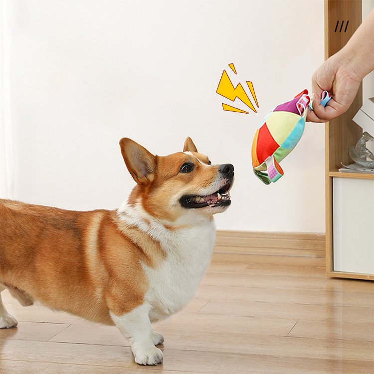 Small Interactive Plush Dog Frisbee Cotton Anti-Teething Pet Toy with Built-in Sound Generator for Training for Dogs
