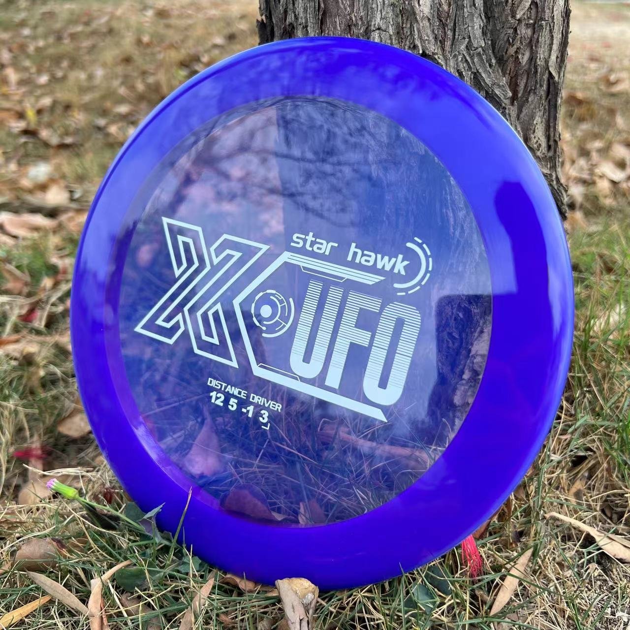PDGA Approved Flying Discs Factory Custom flying discs Logo Outdoor Toys Discs golf Games High Quality Frisbeed -Fairway Driver Champion level