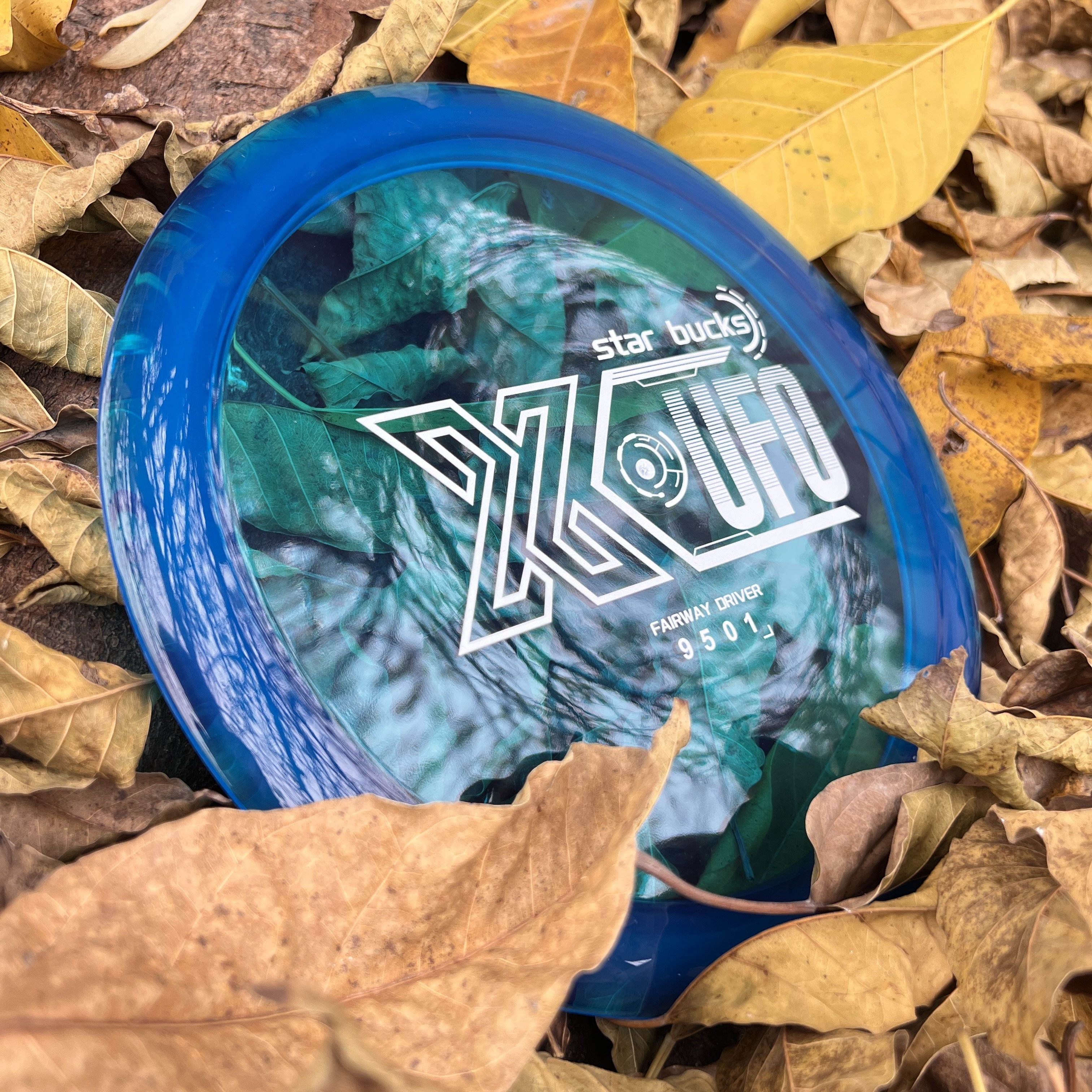 PDGA Approved Outdoor Sports Golf Discs Frisbeed Games Custom Logo Disc Golf Soft High Quality 175g Blank Discs Champion level