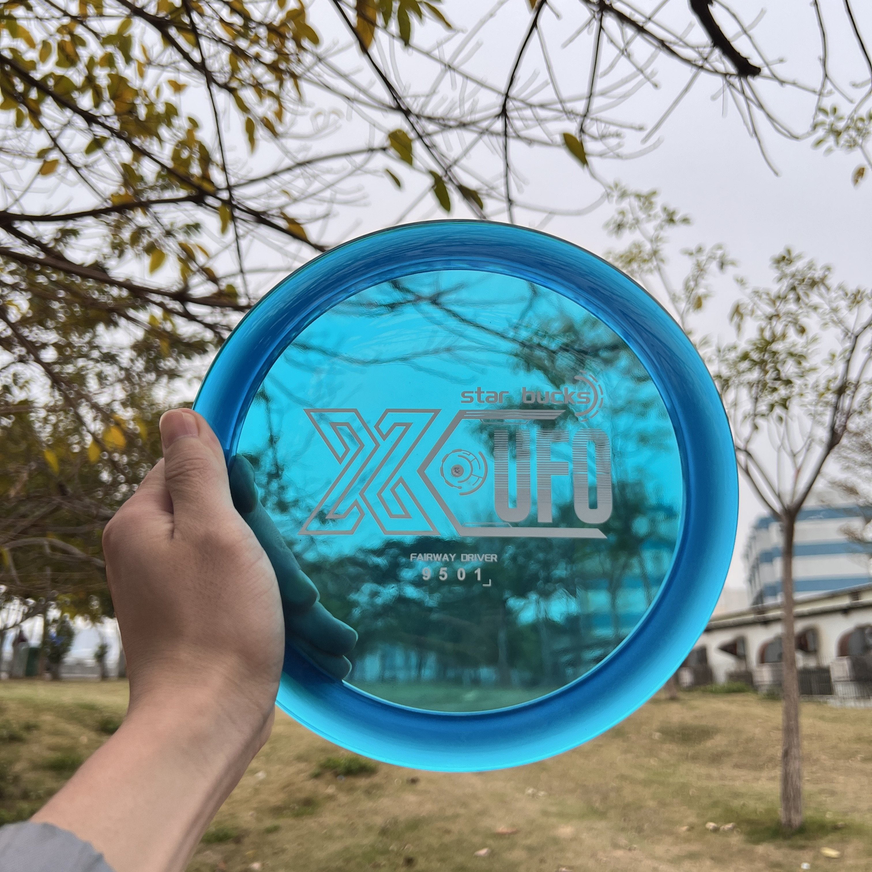 PDGA Approved Outdoor Sports Golf Discs Frisbeed Games Custom Logo Disc Golf Soft High Quality 175g Blank Discs Champion level