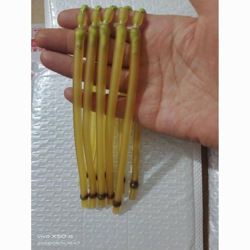 Single -top card rapping fish rubber band does not wear a card ball soby fish dart high bomb high bomber and violent durable fish 3060.4070