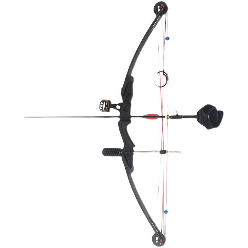 Professional pulley bow composite bow traditional bow and arrow competitive bow target shooting sports saving power straight pull inverse bow authentic