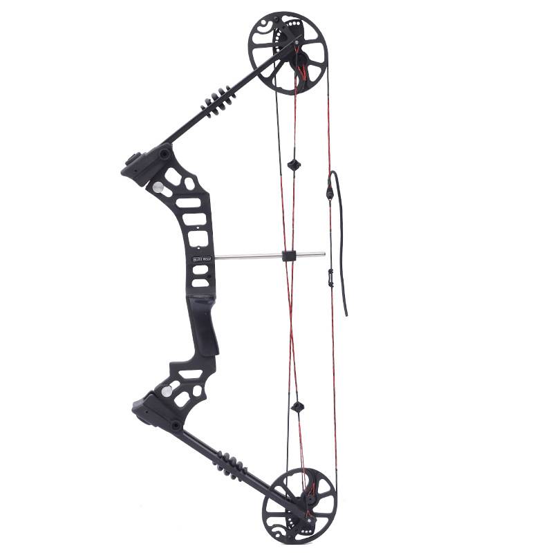 Composite bow and arrows, metal mechanical pulleys, eclipse hunting bow, outdoor adult bow scenic competition traditional bow