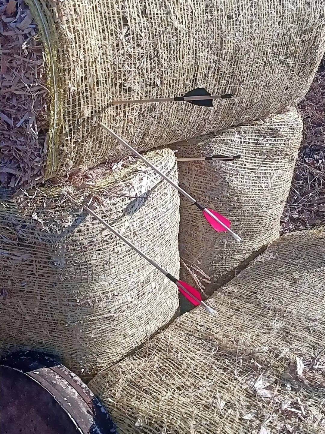 Beautiful Hunting Revitalizes Straight Pull Bow Outdoor Auction Skill Skin Vehicle Motor Bow Precise Bow and Excisitement Bowbi