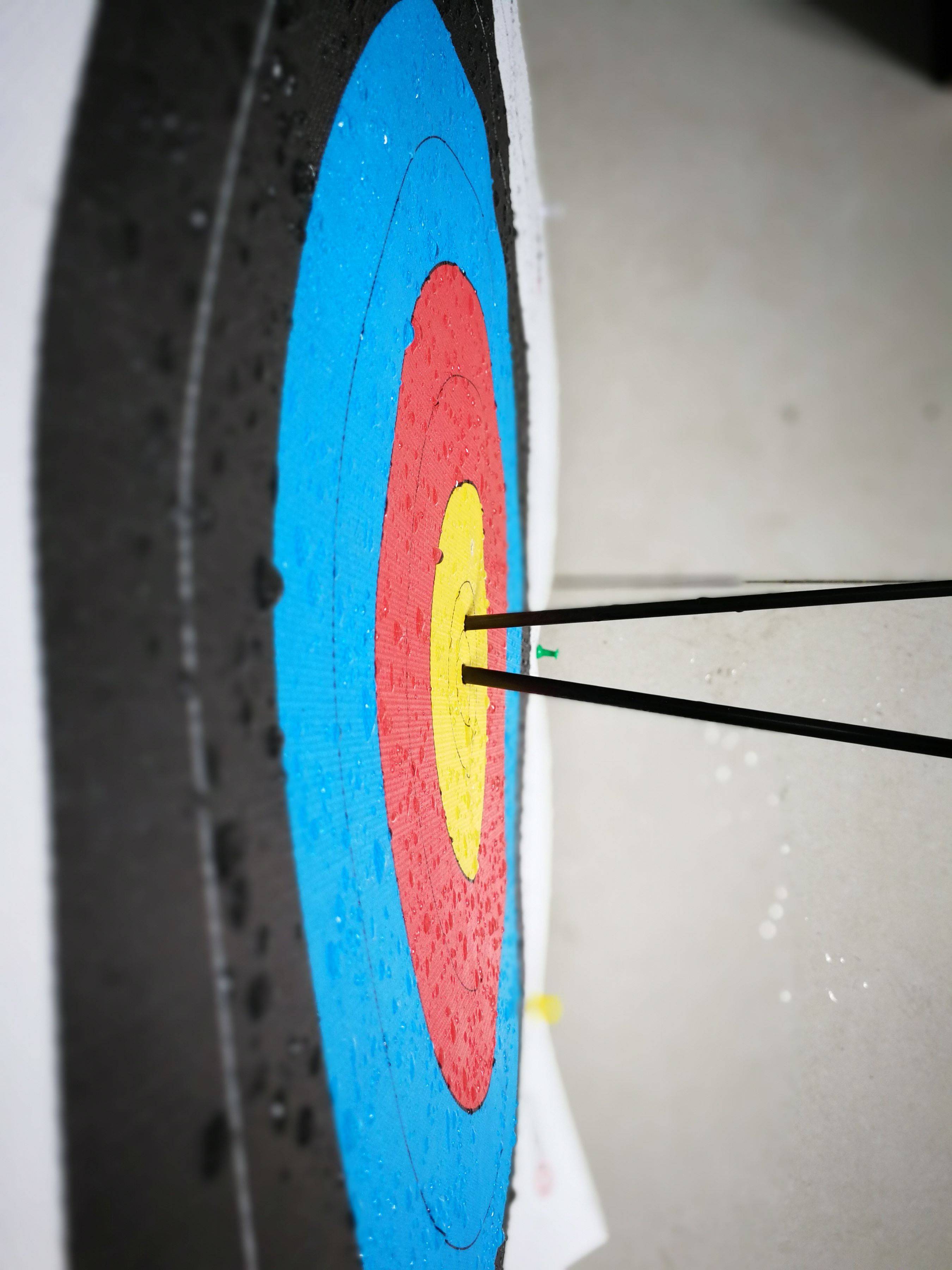 DICCOT'S TARGET PAPER IS FULL OF HALF-RINGED ARROWS