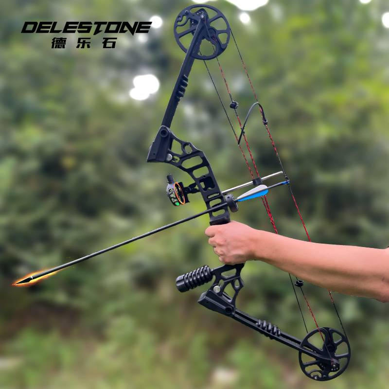 Second -generation dragon claw X8 composite bow and arrow outdoor shooting shooting shooting fish pulley bow sports training equipment Shooting set