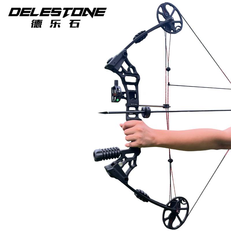 Second -generation dragon claw X8 composite bow and arrow outdoor shooting shooting shooting fish pulley bow sports training equipment Shooting set