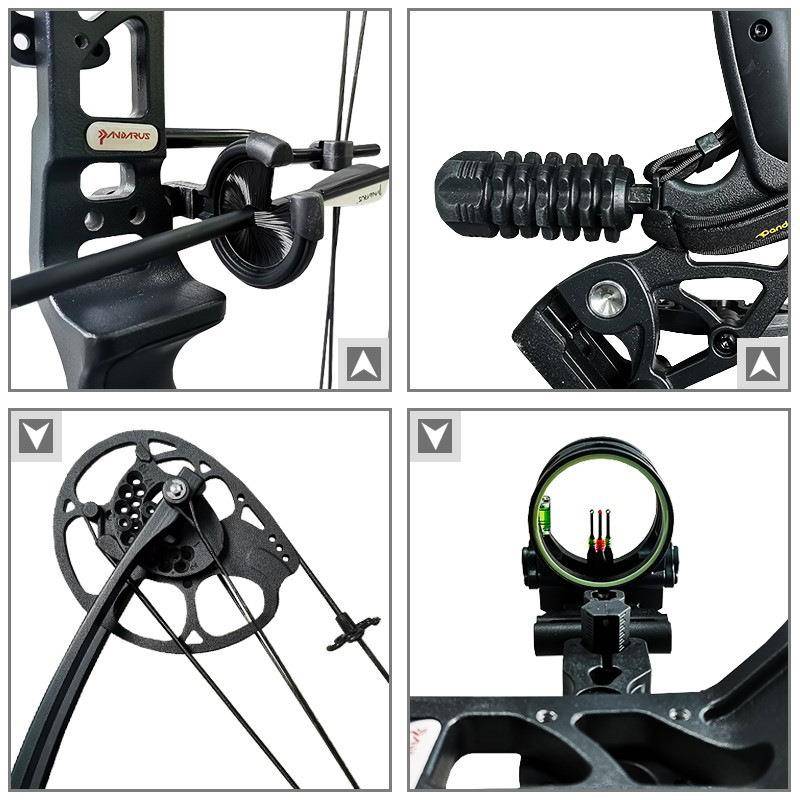 Factory direct selling Pan Shen L1 composite pulley bow archery equipment youth adult sports equipment can be
