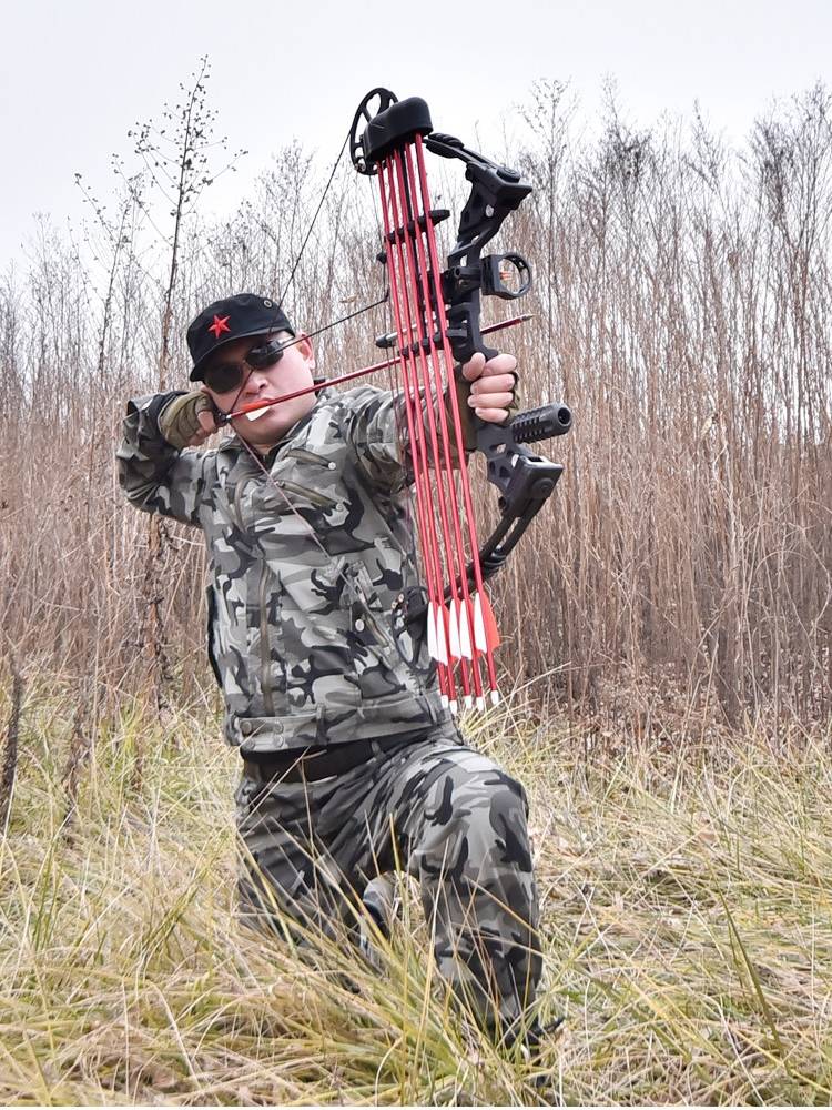 Lightning Wolverine, with a combined bow and arrow, both shot out-of-the-house arrow alloy sliders