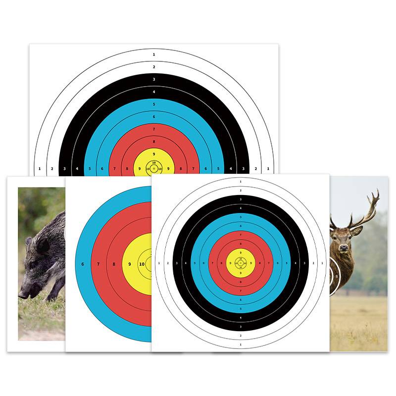 Scramble-and-Arrow Professional Standard Race Practice Half-Circumference Targeted Darts Rifle Reverse Arrows