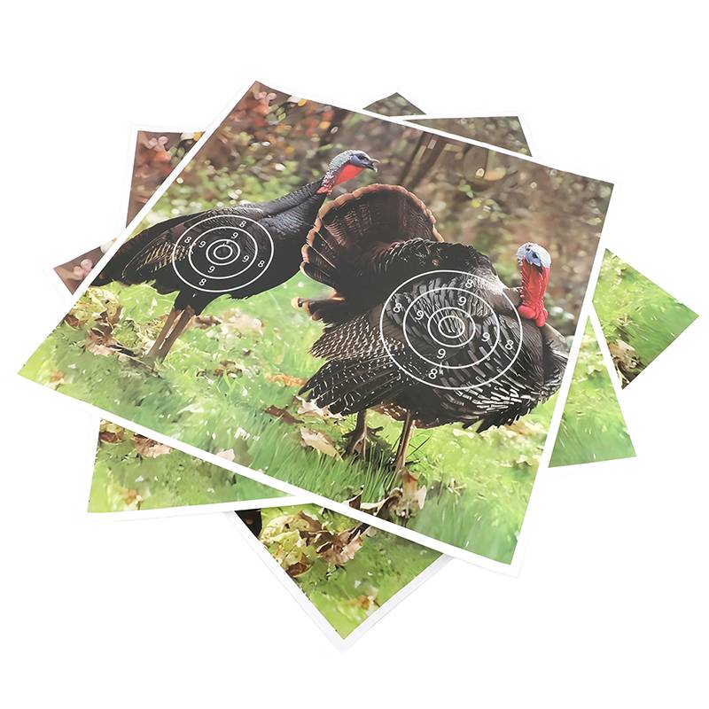 Sniper bow and arrow-fired arrow-fired arrow-hunter, chum-hunter, convoluted bow, choreograph of zodiac turkey