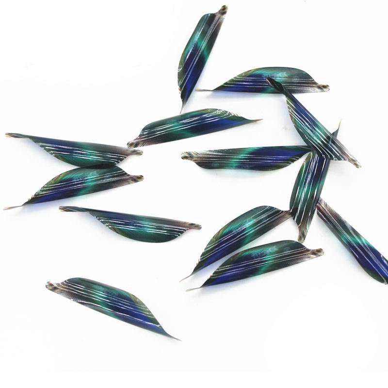 Archery Equipment Di Kit Decut Coto Spiral Feather Rotating Composite Bow Archery Campaign Bow