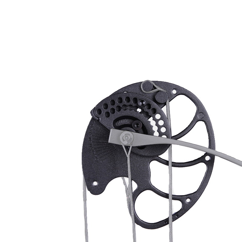 Sanlida Master X8 Primary Shooting Complex Bow Sports Movement Training Young Advision Getting Started Competition Archery