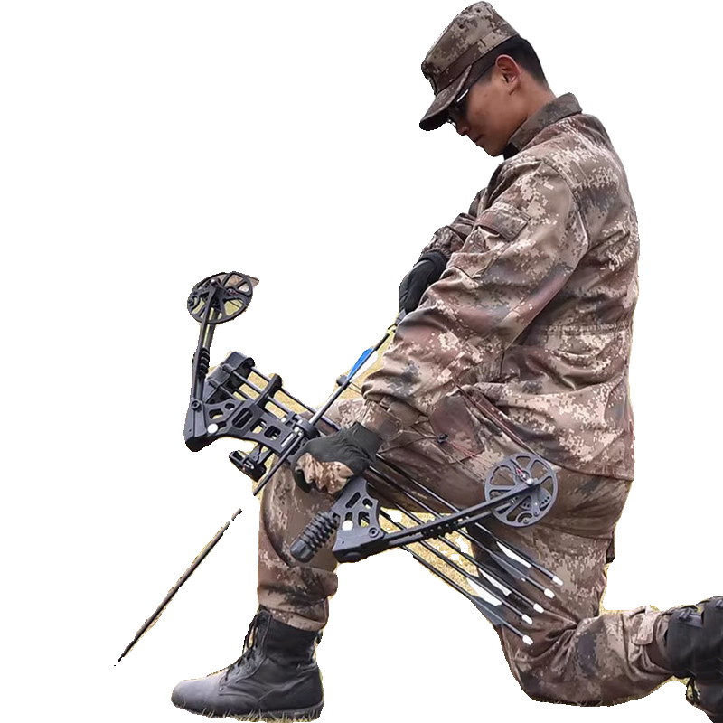 Bow and arrow adults outdoor shooting arrow alloy composite bow and arrow high precision pulley bow hunting bow shooting fish arrow set