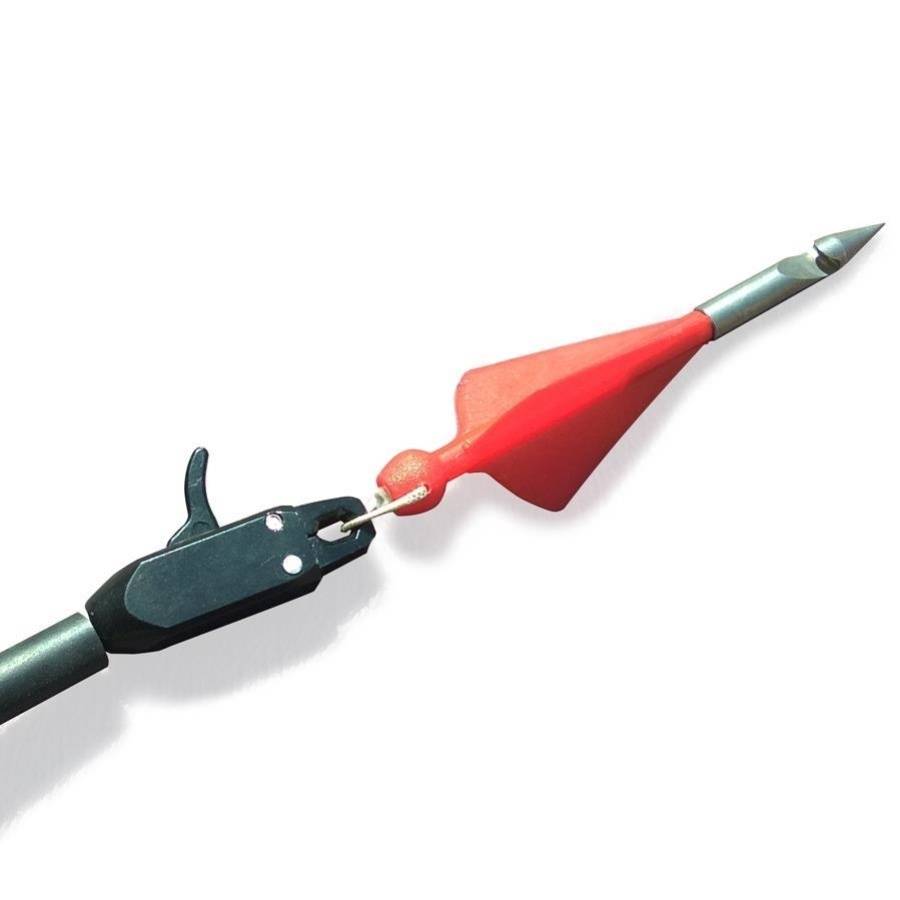 Fish-gun-fired octopus, an adult with a three-tailed carbon arrow rod outside the house