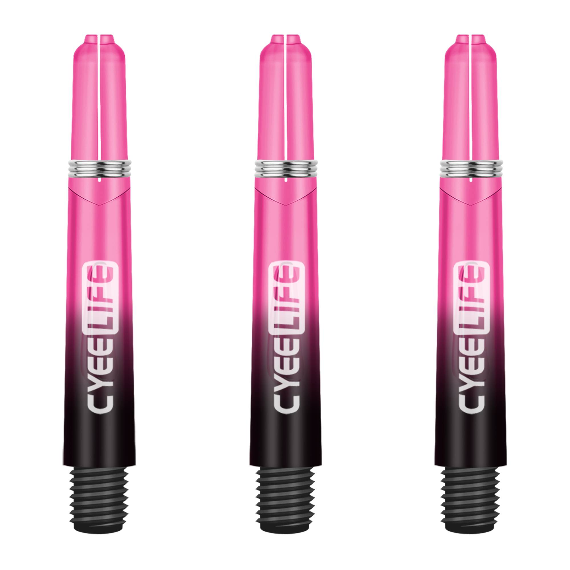 Pink Gradient-3 Bin
