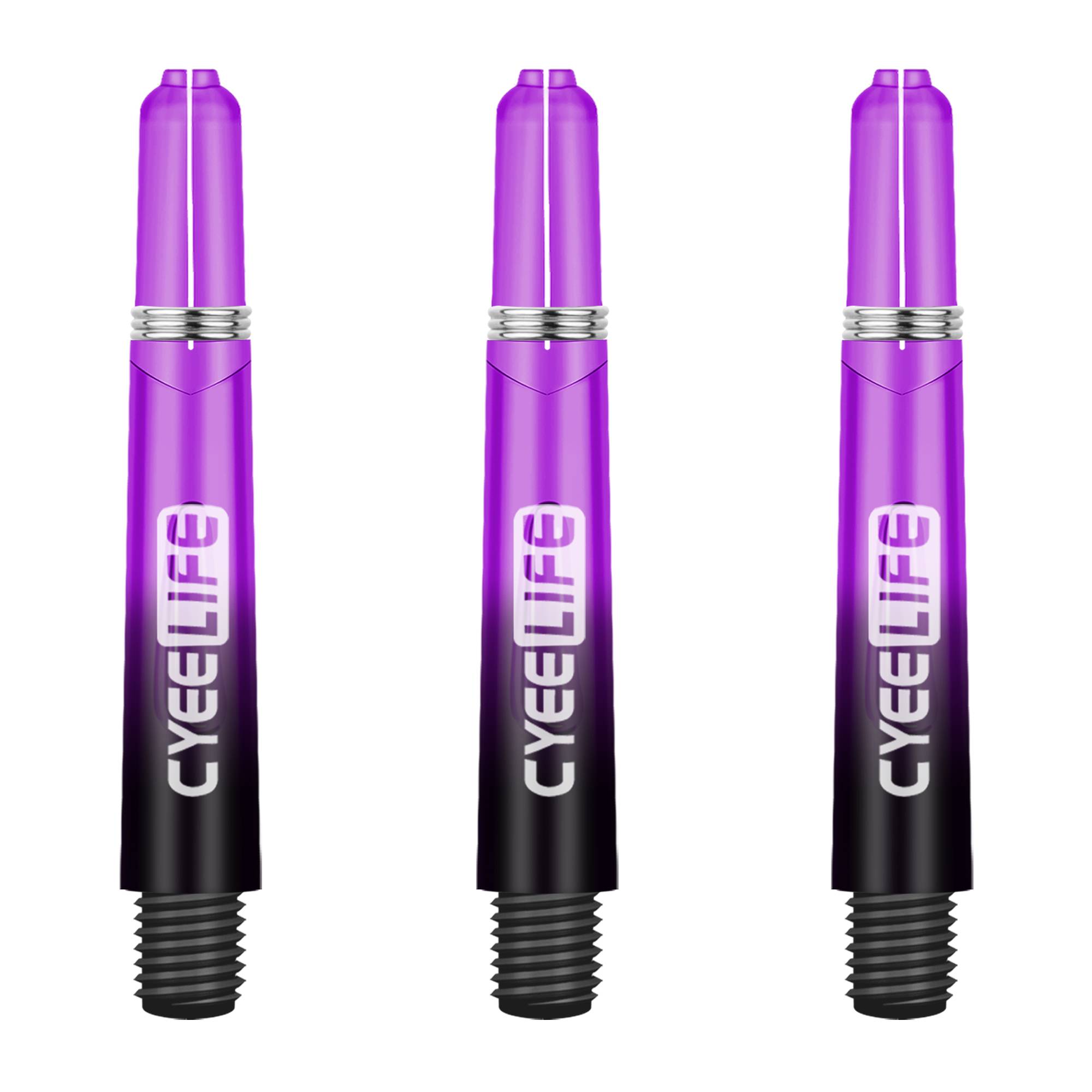Purple Gradient-3 Bin