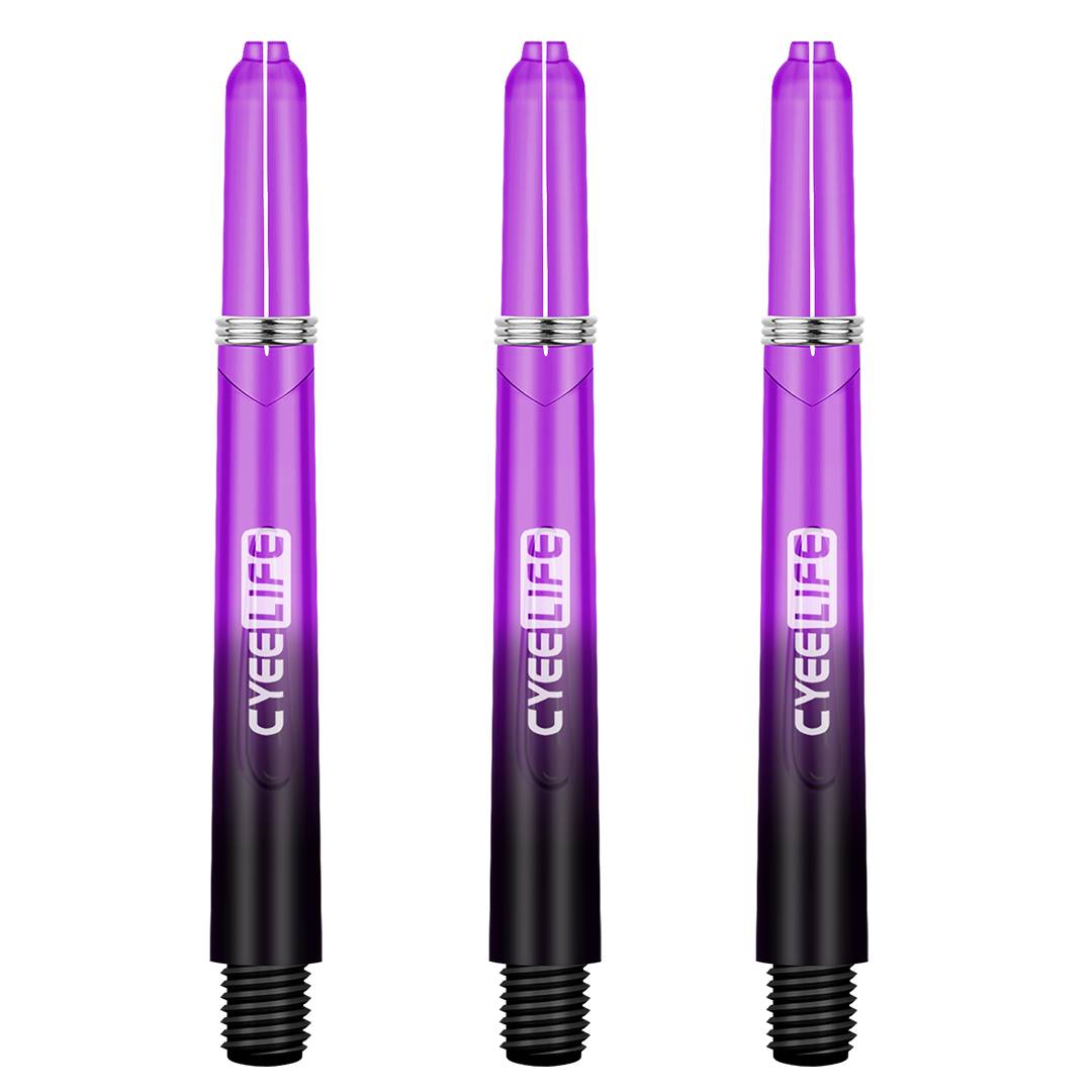 Purple Gradient-3 Bin