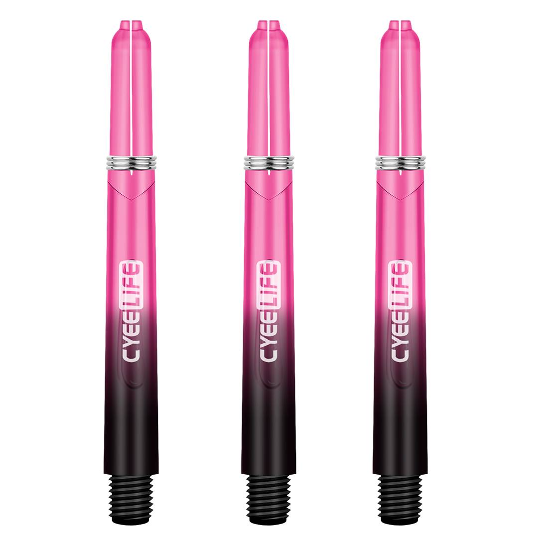 Pink Gradient-3 Bin