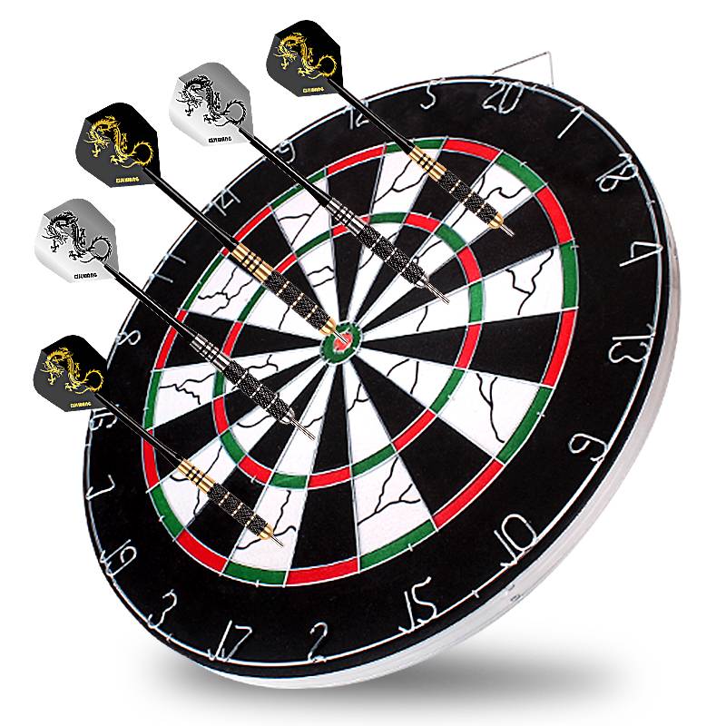 The Darts of Flying Darts set up in the interior of the house with a professional competition standard adult entertainment target