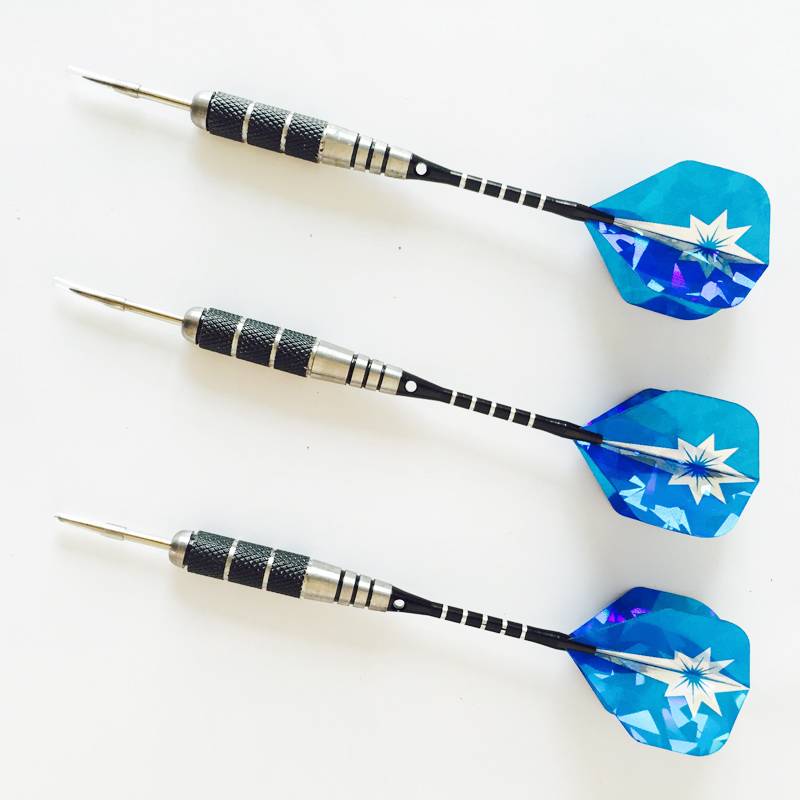 Free shipping with 6 stainless steel dart needle professional competition, needle dart dart 24 grams of aluminum pole fish darts flying label