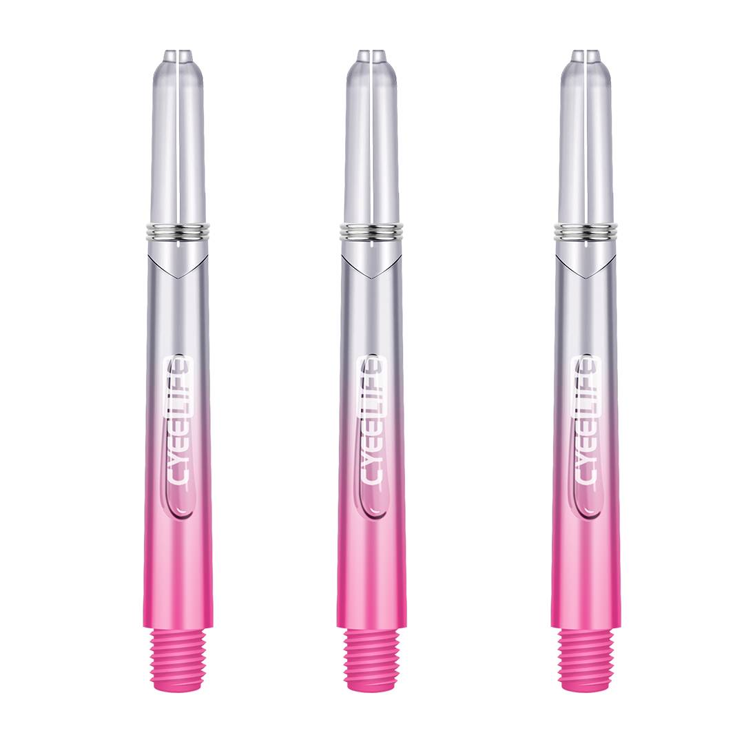 Pink Gradient-3 Bin